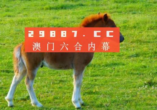 新奧門一肖一馬平特大全，揭秘熱門關鍵詞背后的故事，揭秘新澳門熱門關鍵詞背后的故事，一肖一馬平特大全