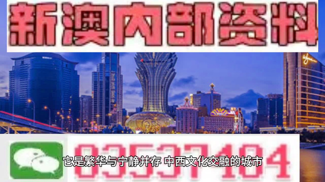 新澳門精準資料大全，探索與解析，新澳門精準資料大全，深度探索與解析
