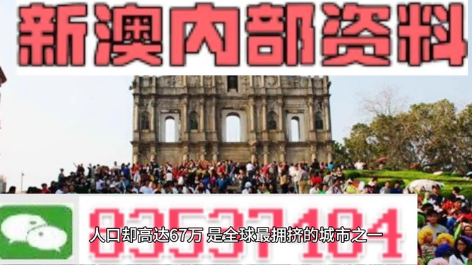 澳門精準(zhǔn)免費(fèi)資料，探索與揭秘，澳門精準(zhǔn)免費(fèi)資料揭秘探索之旅