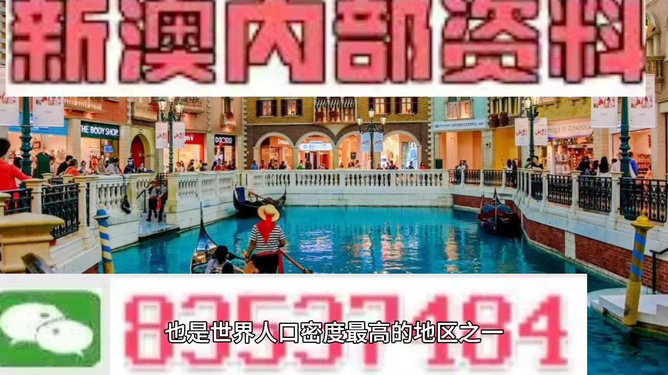 澳門王中王六碼新澳門，探索與解析，澳門王中王六碼新澳門，深度探索與解析