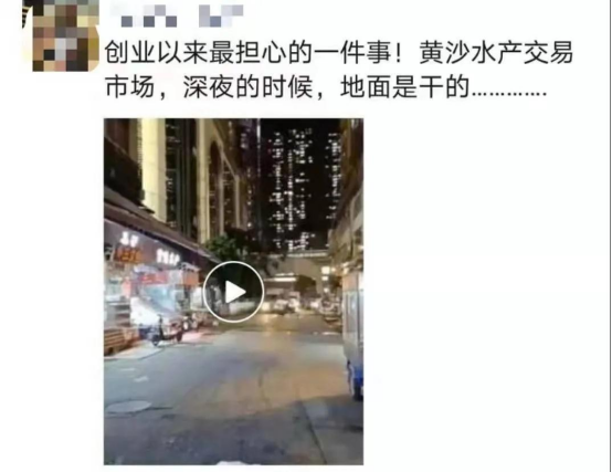 好料盡在王中王——揭秘生肖運(yùn)勢的獨(dú)特魅力，揭秘生肖運(yùn)勢獨(dú)特魅力，王中王好料大解密
