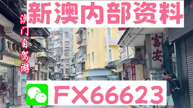 新澳精準(zhǔn)資料免費(fèi)提供，探索與利用資源助力成功，新澳精準(zhǔn)資料免費(fèi)分享，助力成功探索與利用資源