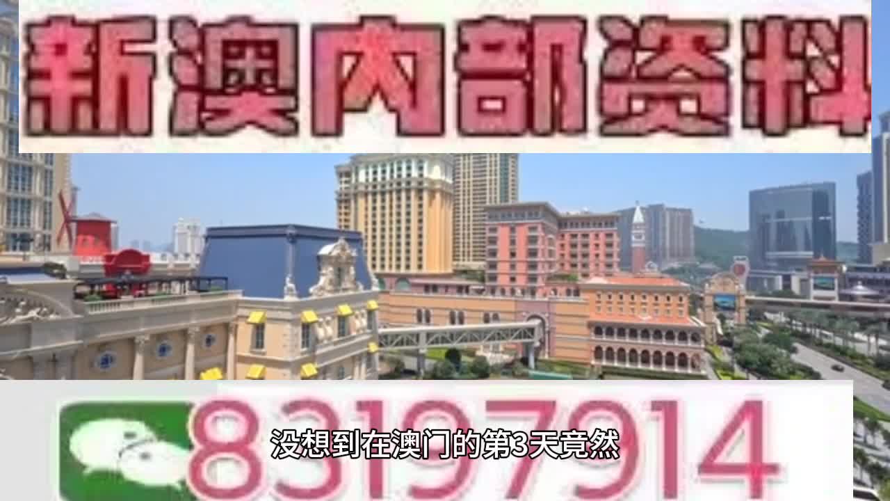 新澳門今晚必開一肖一特，探索生肖與特碼的魅力，澳門生肖特碼探索，今晚必開一肖一特之魅力