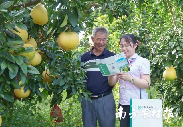 資料大全正版資料2025，一站式獲取所有你需要的信息，資料大全正版資料2025，一站式獲取所有信息總匯