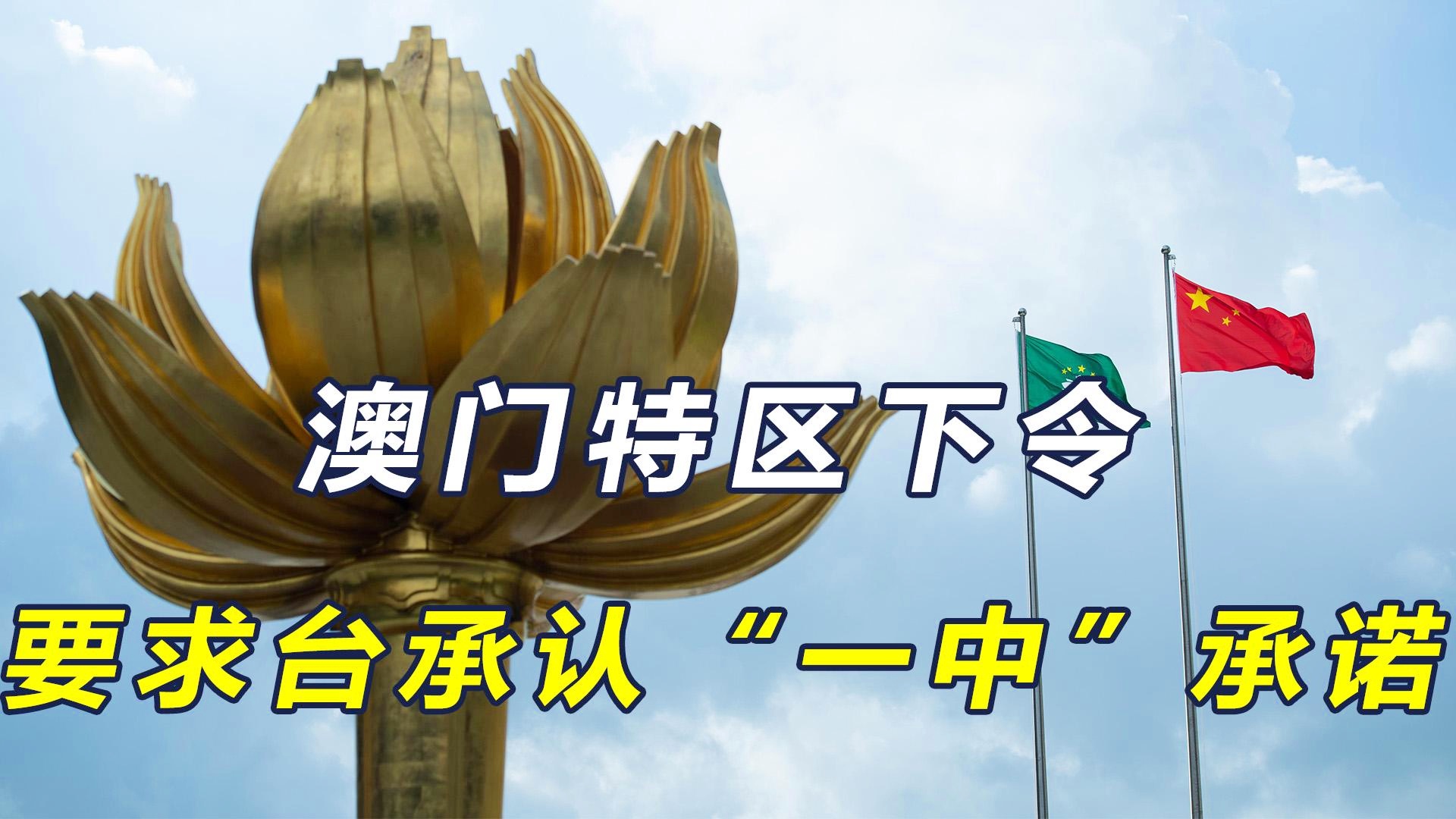 澳門(mén)一碼一肖一恃一中312期，揭秘與探索彩票文化背后的秘密，澳門(mén)彩票文化揭秘，一碼一肖背后的探索與奧秘