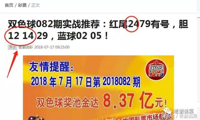 王中王082期指一生肖——探尋生肖魅力，洞悉運勢奧秘，探尋生肖魅力，揭秘運勢奧秘——王中王生肖運勢解析 082期