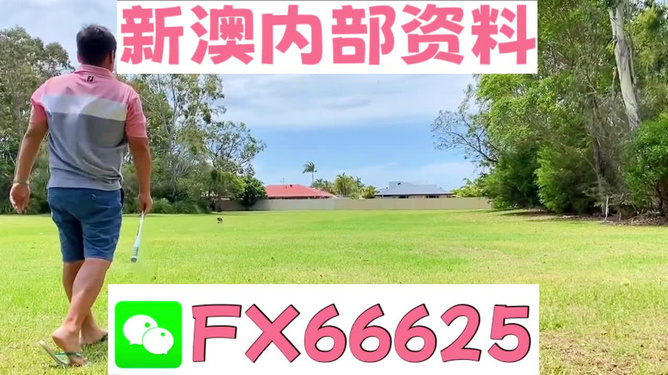 王中王一碼二肖，揭秘背后的秘密，揭秘王中王一碼二肖背后的秘密