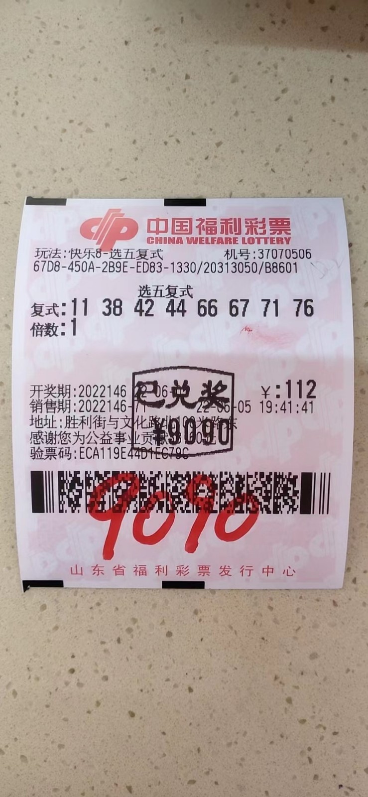 揭秘002期王中王平特一肖，背后的故事與奧秘，揭秘王中王平特一肖背后的故事與奧秘（第002期）