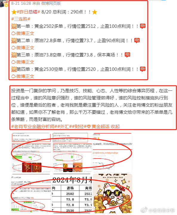 王中王富婆中一肖——揭秘背后的故事與真相，揭秘王中王富婆中一肖背后的真相與故事