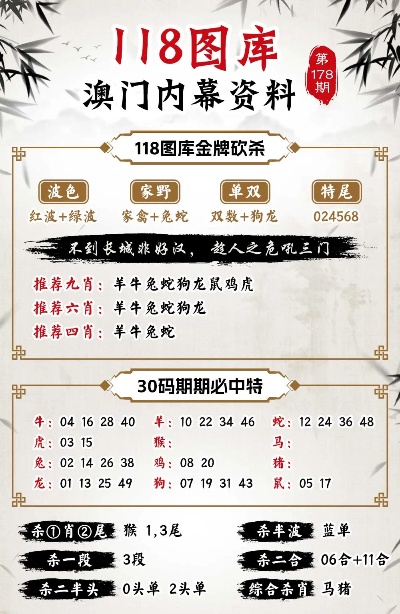 新澳新澳門正版資料，探索與解析，新澳新澳門正版資料深度解析與探索