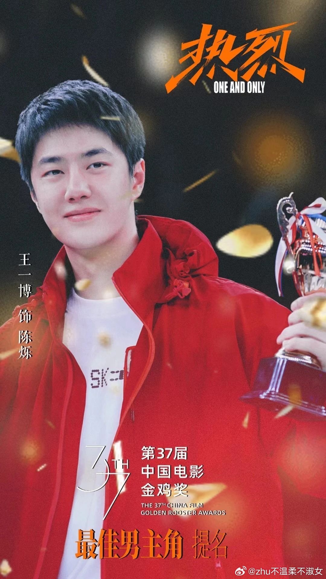 王中王一肖一特一中一中，探尋背后的故事與奧秘，探尋王中王一肖背后的故事與奧秘