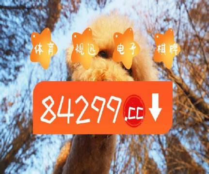 澳門天天開彩好正版掛牌第168期，探索彩票的魅力與策略，澳門彩票探索，魅力與策略揭秘 第168期正版掛牌開彩體驗