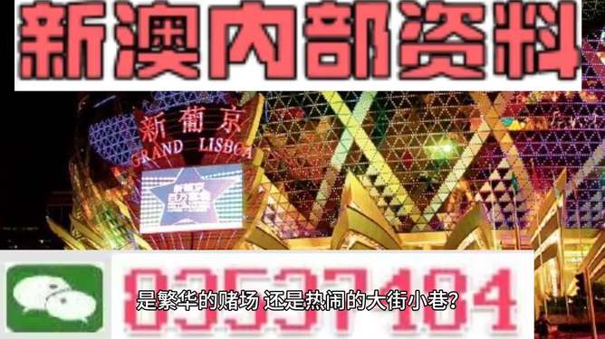 新澳門精準(zhǔn)資料大全管家婆料，探索與解析，澳門精準(zhǔn)資料大全解析，探索管家婆料內(nèi)幕