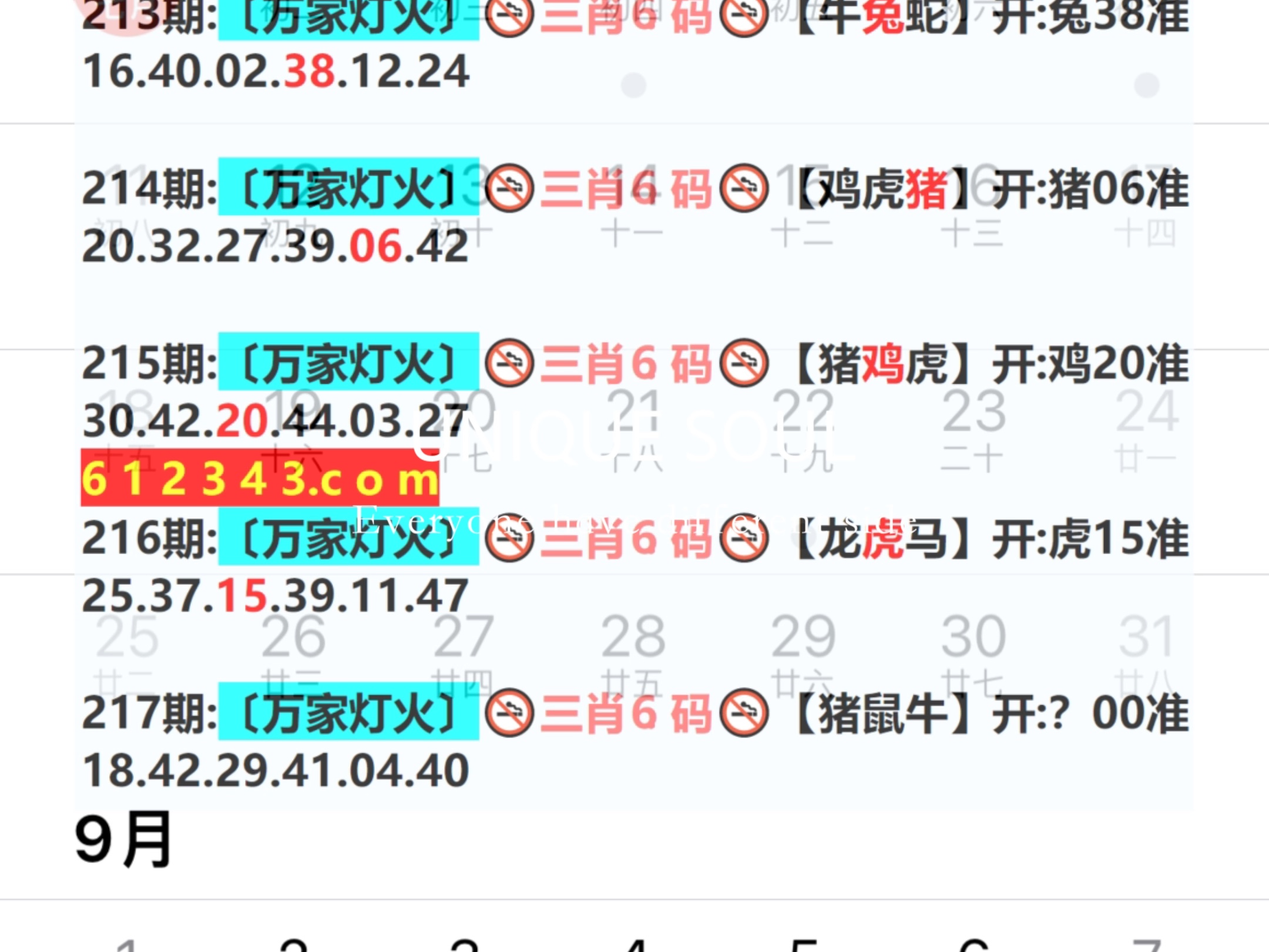 新奧今日六肖中特，揭秘背后的秘密與趨勢分析，揭秘新奧今日六肖中特背后的秘密與趨勢分析