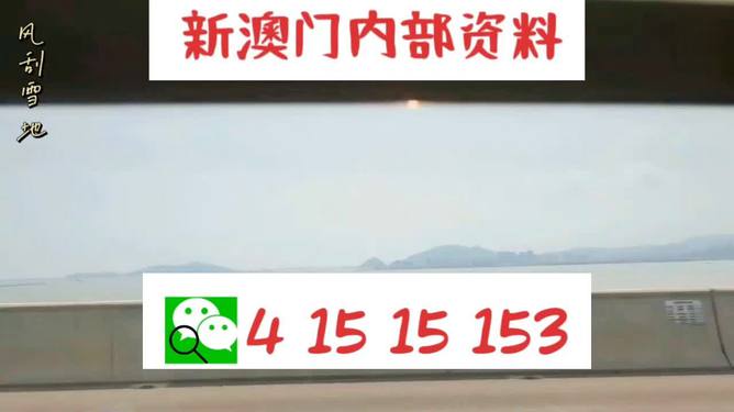新澳2025最新資料生肖，深度解析與預(yù)測展望，新澳2025最新生肖資料深度解析與未來預(yù)測展望