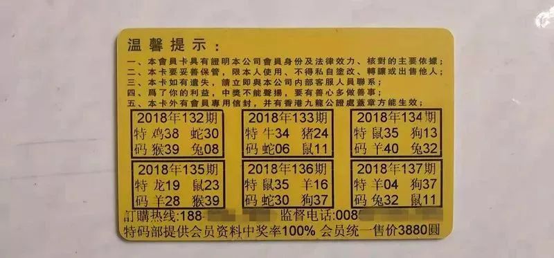 香港中特期期準(zhǔn)資料，深度解析與探索，香港中特期期準(zhǔn)資料深度解析與探索報(bào)告