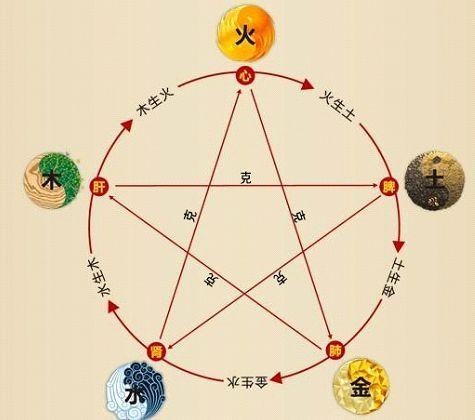 鐵算算盤(pán)4887最準(zhǔn)資料，揭秘其背后的秘密與優(yōu)勢(shì)，揭秘鐵算算盤(pán)4887，最準(zhǔn)資料背后的秘密與優(yōu)勢(shì)