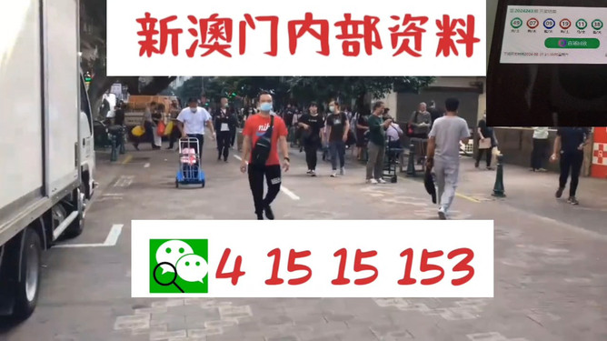 澳門管家婆一馬一中一開，揭秘背后的秘密與策略，澳門管家婆一馬一中一開，揭秘背后的秘密與策略揭秘背后的秘密與策略