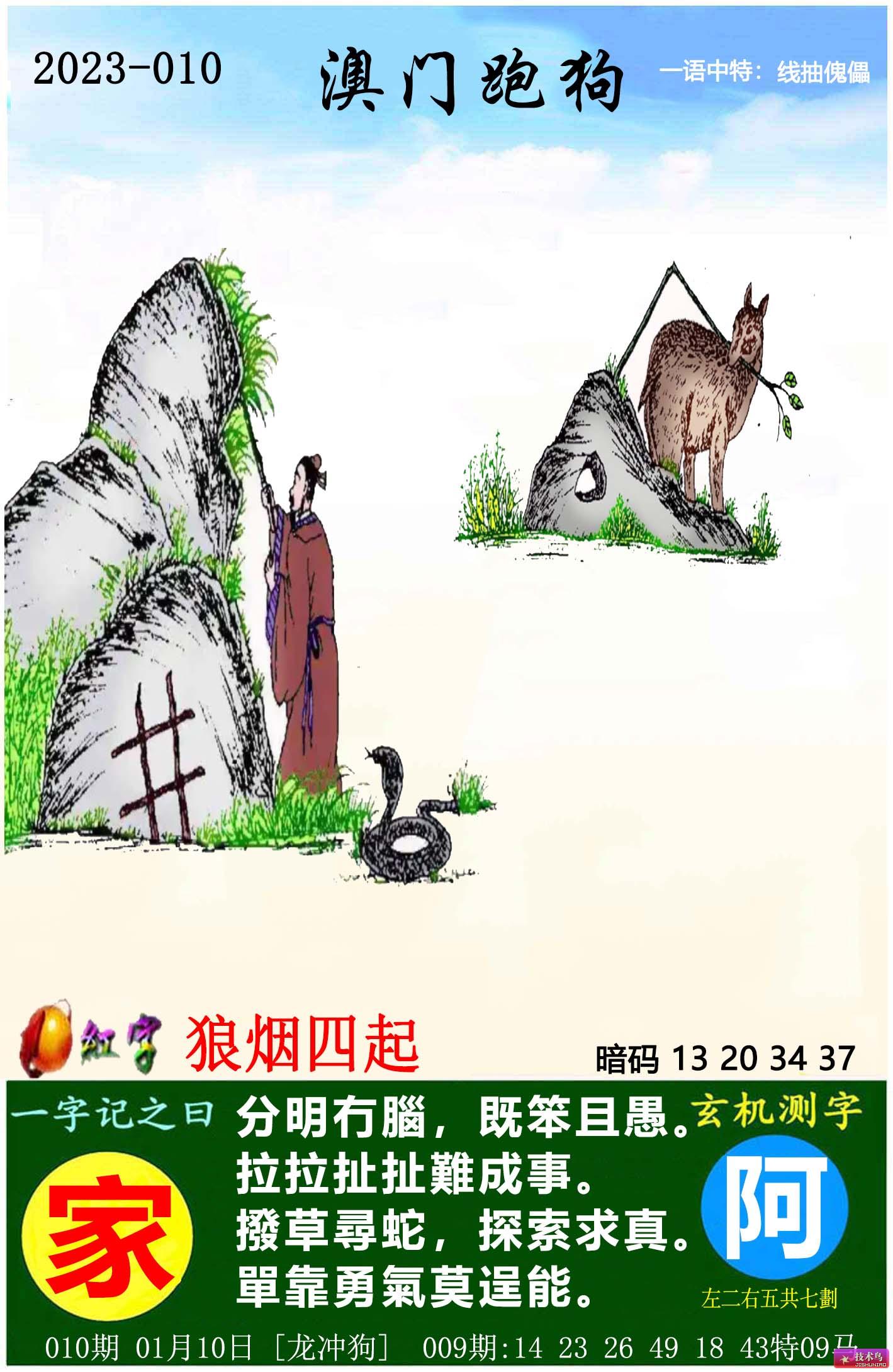 跑狗圖8888精準(zhǔn)正版，探索真實(shí)與樂(lè)趣的交融，跑狗圖8888精準(zhǔn)正版，真實(shí)與樂(lè)趣的交融探索