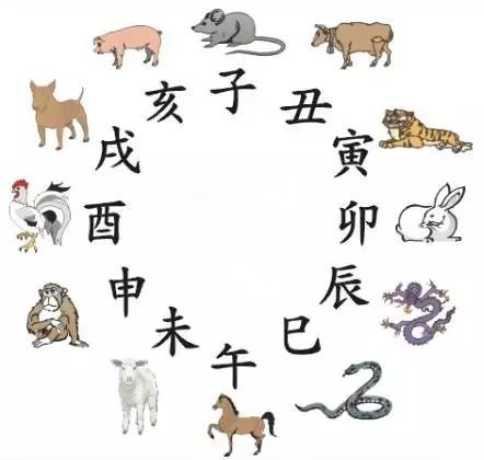 澳門天天彩期期精準(zhǔn)十二生肖預(yù)測(cè)——揭秘彩票秘密，澳門天天彩期期精準(zhǔn)十二生肖預(yù)測(cè)，揭秘彩票秘密之獨(dú)家解析
