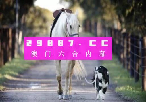 澳門彩的奧秘世界與SEO優(yōu)化策略探討 —— www.04812com的獨(dú)家解析，澳門彩奧秘與SEO優(yōu)化策略獨(dú)家解析，www.04812com深度探討