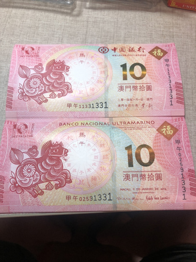 揭秘明天澳門必中生肖的神秘面紗，揭秘明天澳門必中生肖的神秘秘密