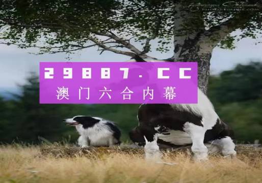 揭秘7777788888精準新跑狗——全方位解讀與體驗，揭秘精準新跑狗，全方位解讀與體驗7777788888跑狗秘籍