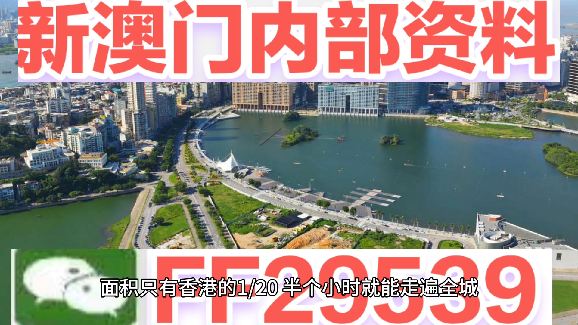 2025新澳門(mén)搖號(hào)直播——最新動(dòng)態(tài)與直播體驗(yàn)，澳門(mén)直播新動(dòng)態(tài)，2025搖號(hào)直播體驗(yàn)分享