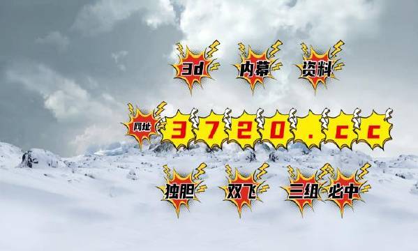 揭秘4887王中王精準資料，全方位解讀，讓你贏在起跑線，揭秘王中王精準資料，全方位解讀助你贏在起跑線
