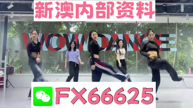 新澳最新版精準特色，深度解析其優(yōu)勢與吸引力，新澳最新版特色解析，優(yōu)勢與吸引力深度探討