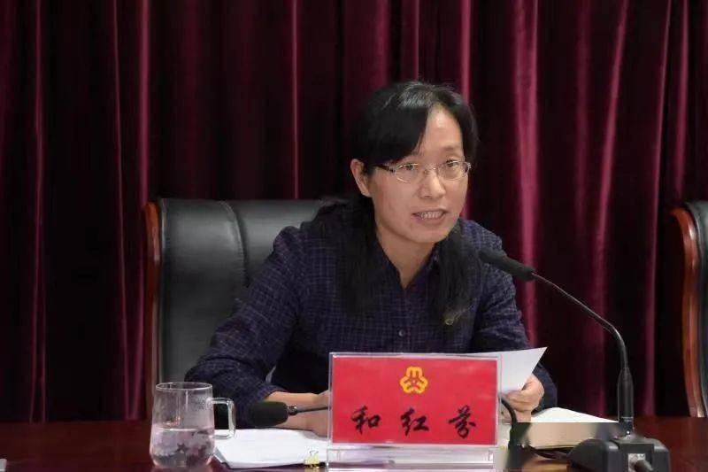 二四六香港期期中的資料解析與SEO優(yōu)化策略，香港期期二四六資料解析與SEO優(yōu)化策略探討