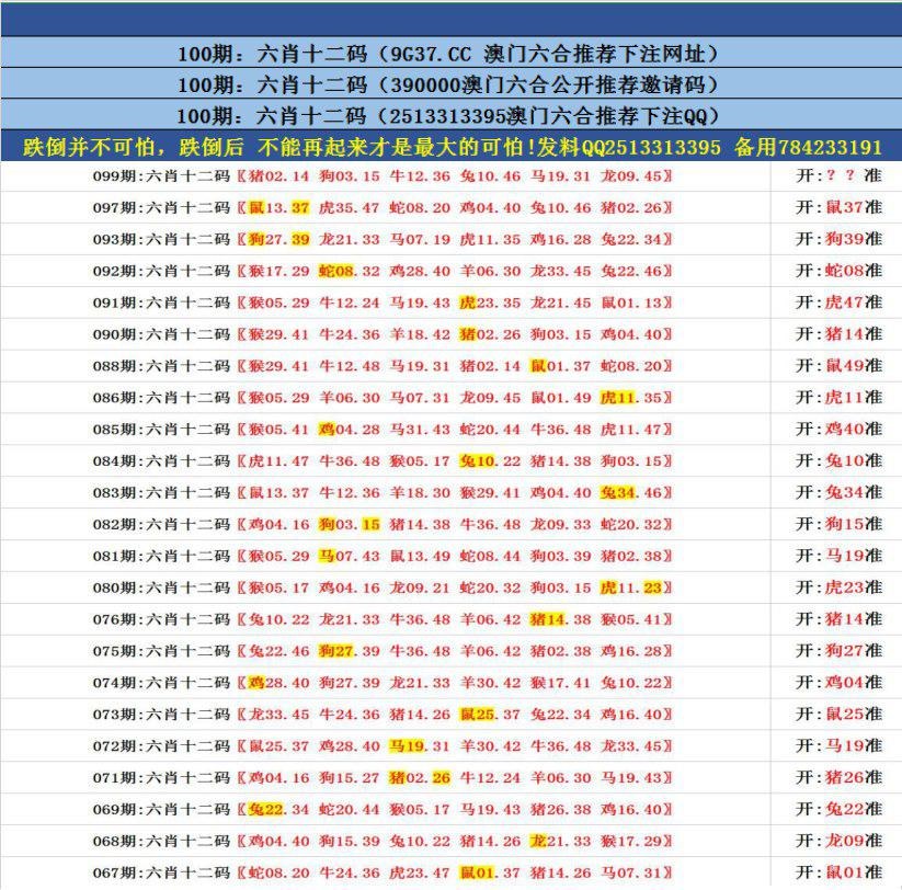 澳門無錯九肖今日搜狗，探索與解析，澳門無錯九肖今日搜狗，深度解析與探索