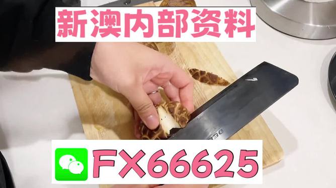 澳門九點(diǎn)半9點(diǎn)半網(wǎng)站——探索其魅力與優(yōu)勢(shì)，澳門九點(diǎn)半網(wǎng)站，魅力與優(yōu)勢(shì)探索