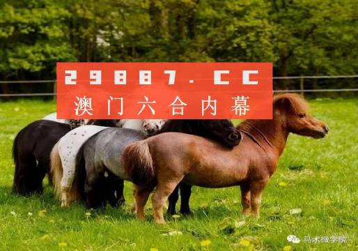 一馬中特內(nèi)部精準(zhǔn)資料免費大公開，揭秘行業(yè)秘密，助力個人成長，揭秘行業(yè)秘密，一馬中特內(nèi)部精準(zhǔn)資料大公開，助力個人成長免費獲取