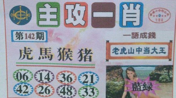 王中王號(hào)碼一肖，揭秘背后的秘密與策略，揭秘王中王號(hào)碼一肖背后的秘密與策略之道