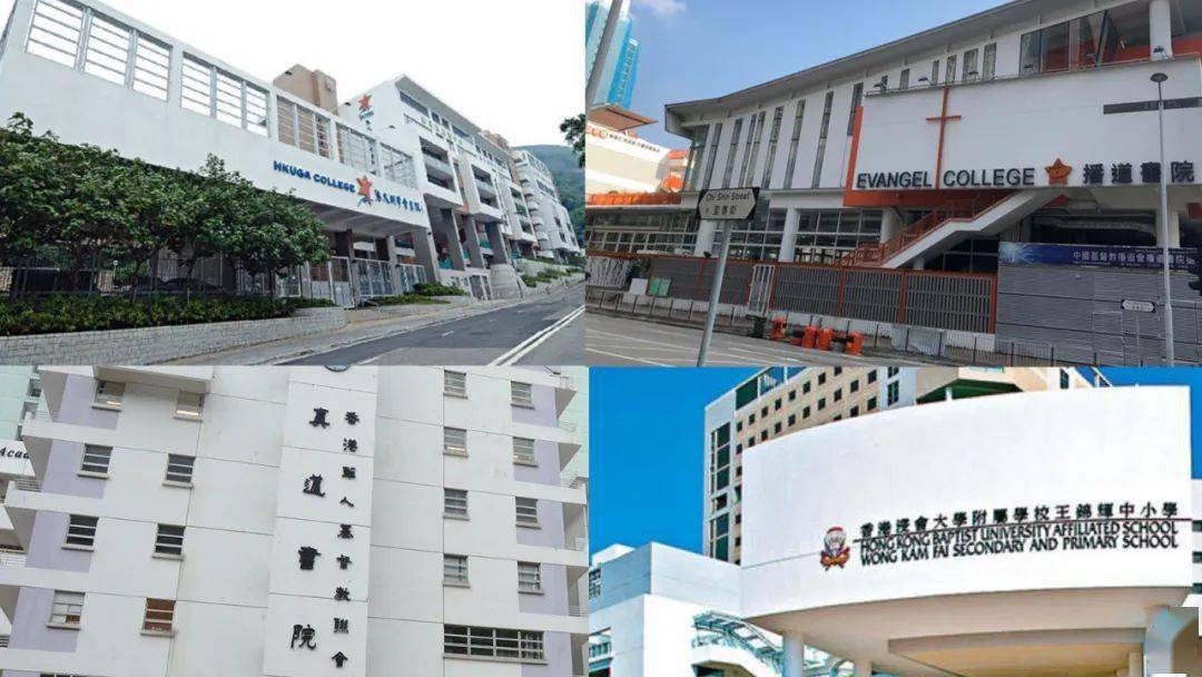 香港免費公開資料大全——探索無盡的資源寶庫，香港免費公開資料大全，資源寶庫深度探索