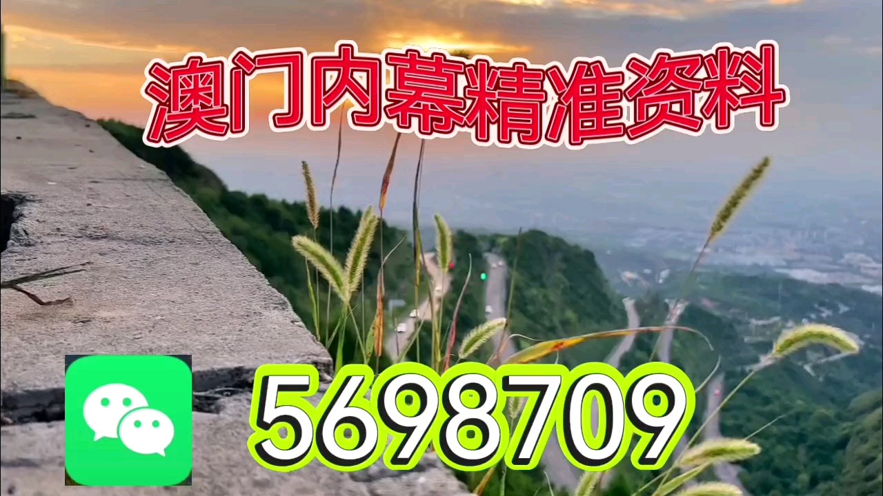 新澳天天開彩資料大全——探索彩票世界的奧秘，新澳天天開彩資料大全，揭秘彩票世界的神秘面紗