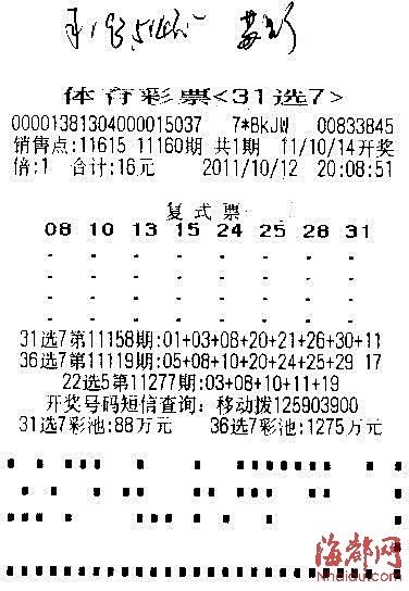 平特一肖王中王論云，探索SEO優(yōu)化與關鍵詞戰(zhàn)略，探索SEO優(yōu)化與關鍵詞戰(zhàn)略布局，平特一肖王中王論云