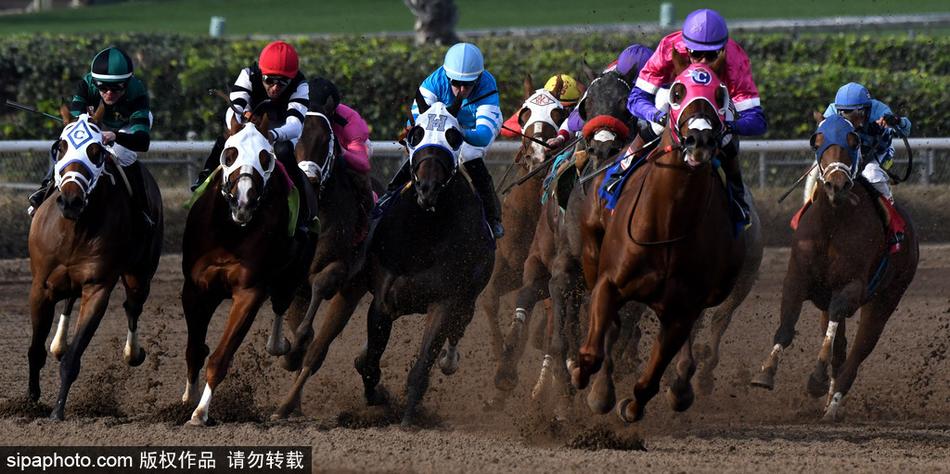 王中王內(nèi)部必中一肖——揭秘彩票背后的秘密，揭秘彩票王中王內(nèi)部必中一肖的神秘秘密