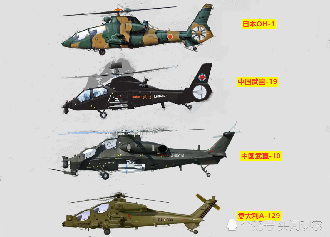 武直19與武直10，中國軍用直升機的驕傲，中國軍用直升機驕傲，武直19與武直10的輝煌