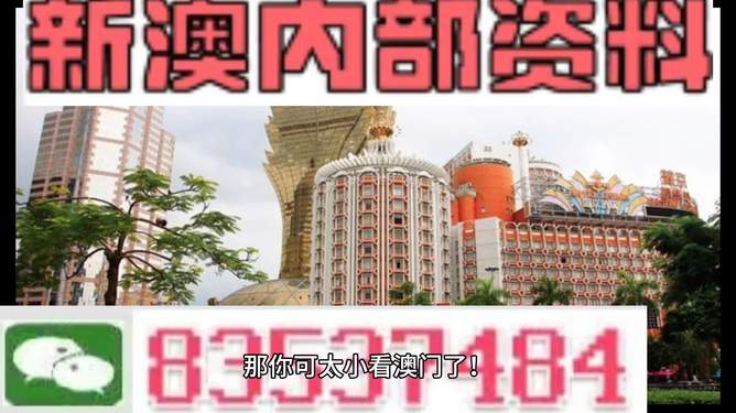澳門內部資料精準大全2023