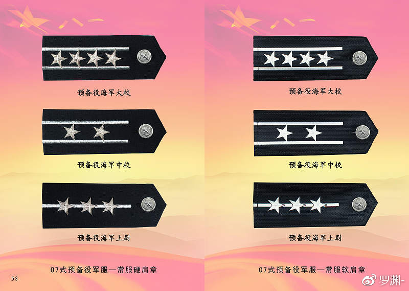 預(yù)備役軍銜一覽表，榮譽(yù)與職責(zé)的象征，預(yù)備役軍銜一覽表，榮譽(yù)與職責(zé)的象征標(biāo)簽