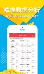 王中王四肖選一肖一首頁，揭秘技巧與策略，引領你走向成功之路，王中王四肖選一肖秘訣揭秘，引領成功之路的技巧與策略