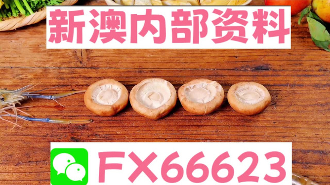 新澳正版資料免費(fèi)提供，全面解析與獲取指南，新澳正版資料全面解析與獲取指南，免費(fèi)提供的指南