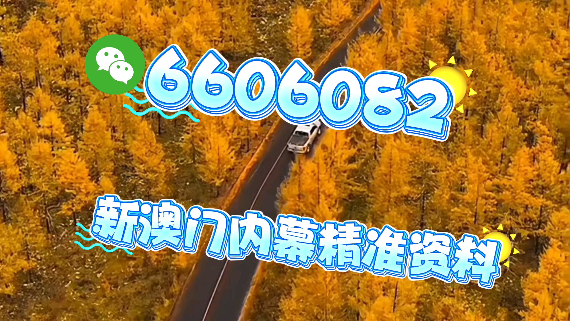 新澳門一肖一碼中恃馬，探索與解析，澳門一肖一碼中恃馬，探索與解析