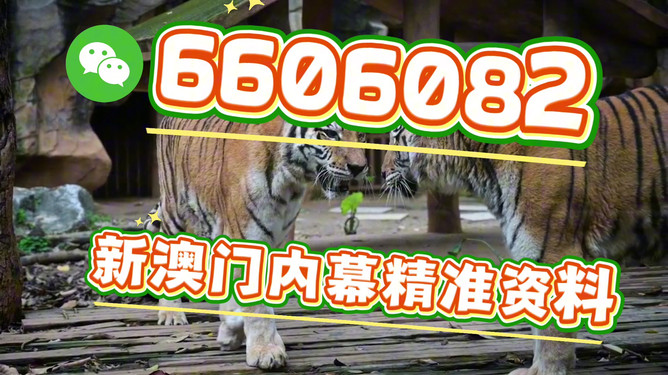 澳門今晚必開一肖一特，深度解析與預測，澳門今晚生肖特碼深度解析與預測，一肖一特必開趨勢探討