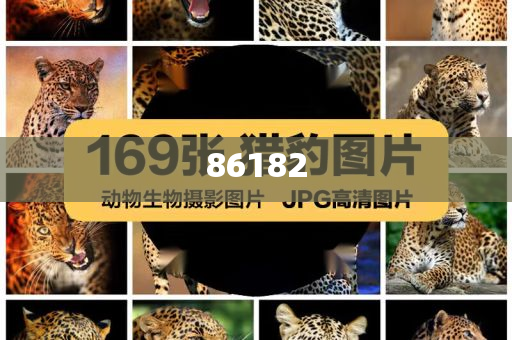 新奧精準(zhǔn)免費(fèi)提供港澳彩——揭秘彩票行業(yè)的秘密武器，揭秘新奧精準(zhǔn)免費(fèi)提供港澳彩的神秘面紗，彩票行業(yè)的秘密武器探究