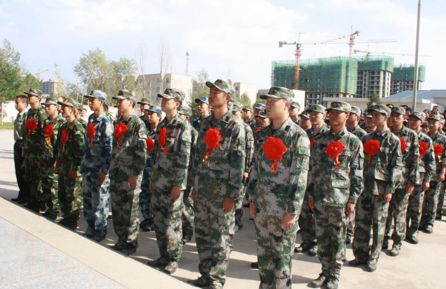 大學(xué)生當(dāng)兵條件全面解析，大學(xué)生當(dāng)兵條件的全面解析