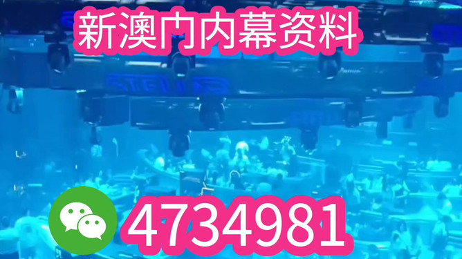 澳門特馬今晚開獎香港，探索彩票背后的文化魅力與未來展望（2025年展望），澳門特馬與香港彩票，文化魅力背后的未來展望（2025年展望）