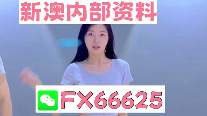 新澳門精準(zhǔn)資料大全——管家婆料解析與探索，澳門精準(zhǔn)資料大全，管家婆料解析與深度探索